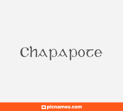 Chapapote