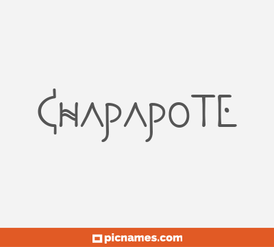 Chapapote