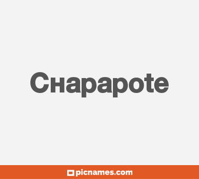 Chapapote