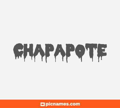 Chapapote
