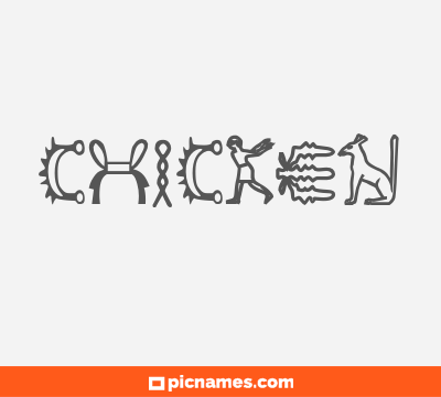 Chicken