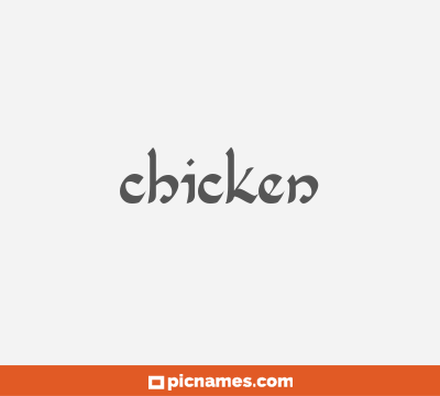 Chicken