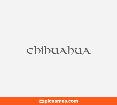 Chihuahua