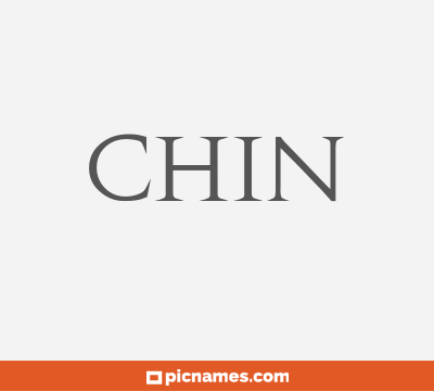 Chin