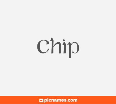 Chip