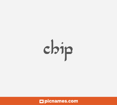 Chip