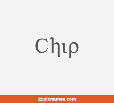 Chip