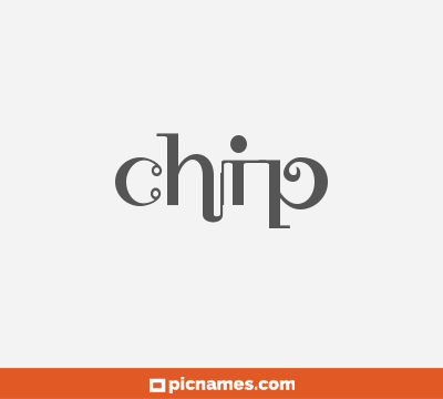 Chip