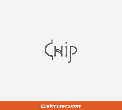 Chip