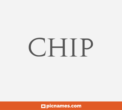 Chip