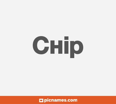 Chip