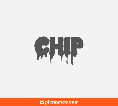 Chip