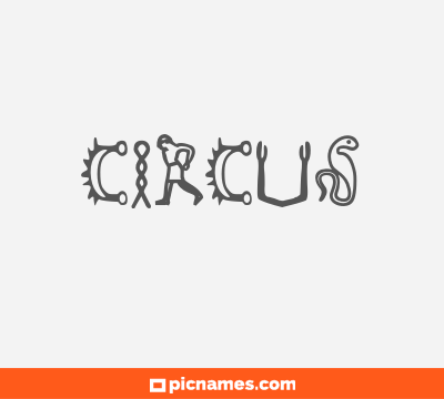 Circus