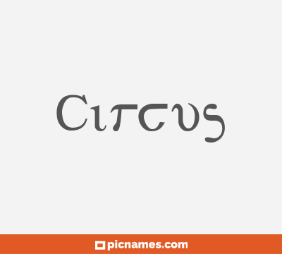 Circus