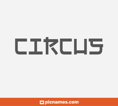 Circus