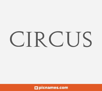 Circus