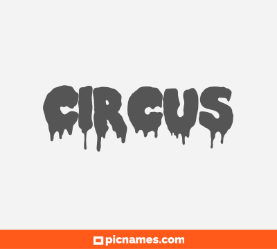 Circus