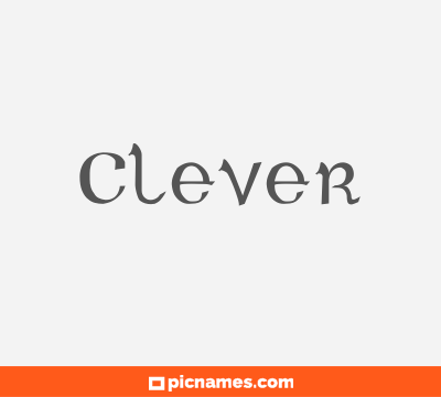 Clever