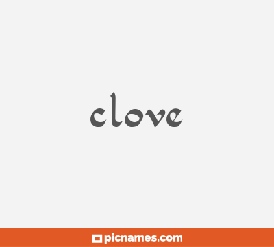 Clove