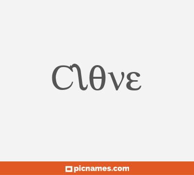 Clove