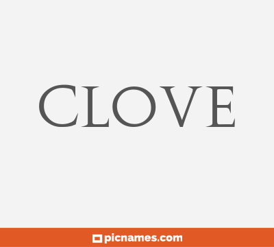 Clove