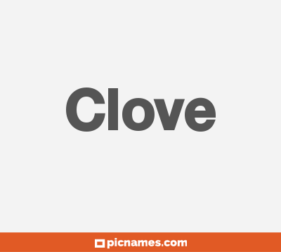 Clove