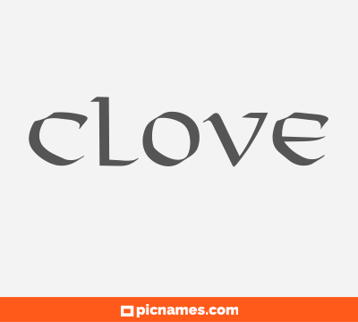 Clove