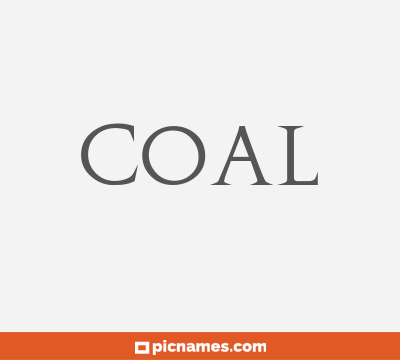 Coal