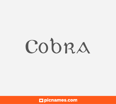 Cobra