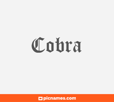 Cobra