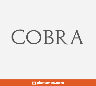 Cobra