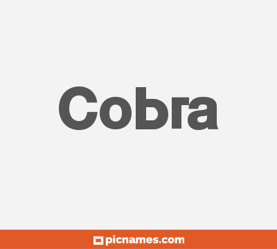 Cobra