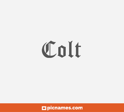 Colt