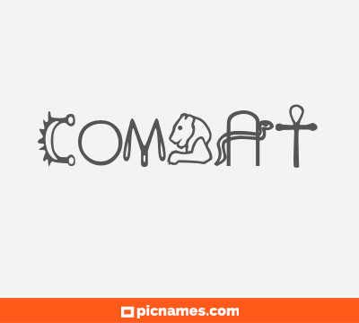 Combat