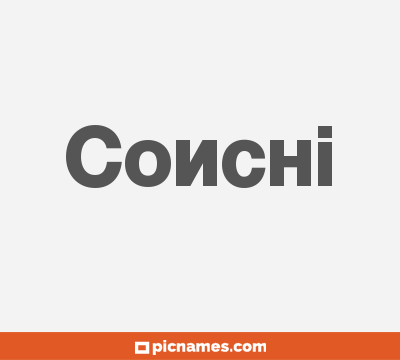 Conchi