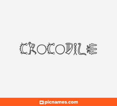 Crocodile