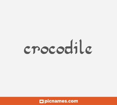 Crocodile