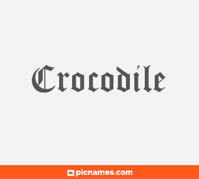 Crocodile