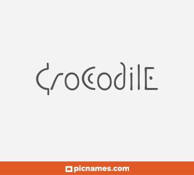 Crocodile