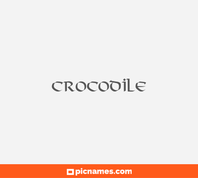 Crocodile