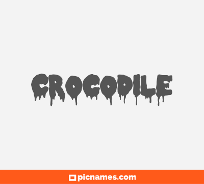 Crocodile