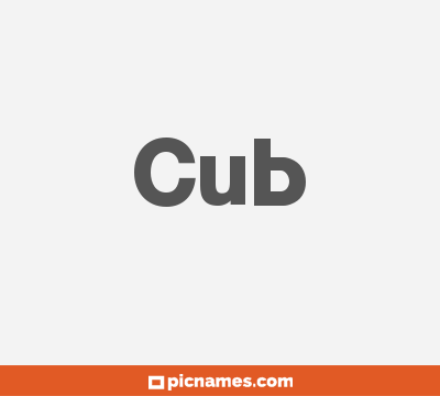 Cub