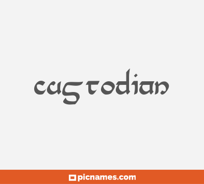 Custodian