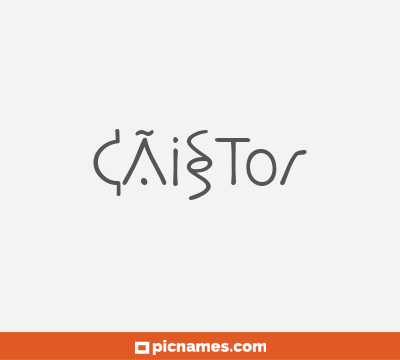 CÃ¡stor