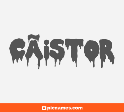 CÃ¡stor