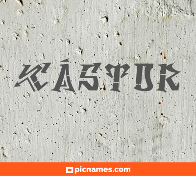 Cástor
