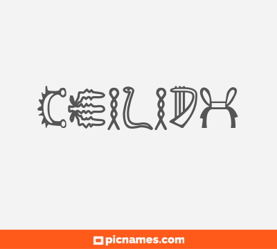 Céilidh