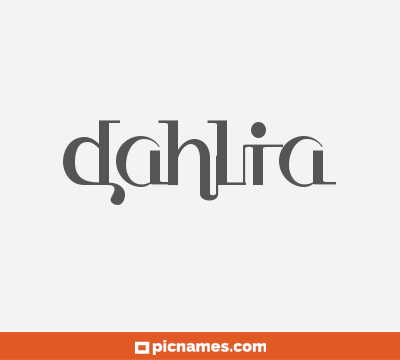 Dahlia