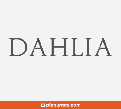 Dahlia