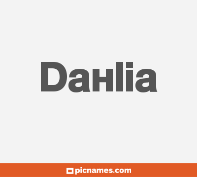 Dahlia